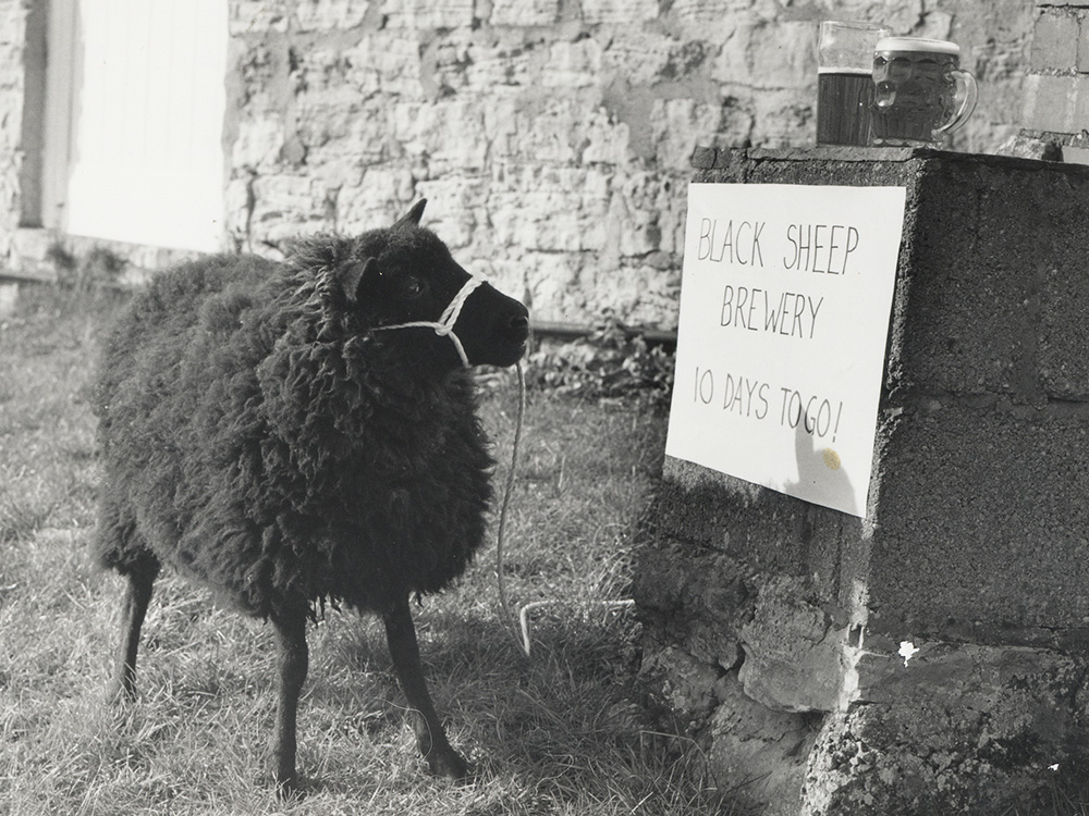 The Black Sheep Story Black Sheep Brewery